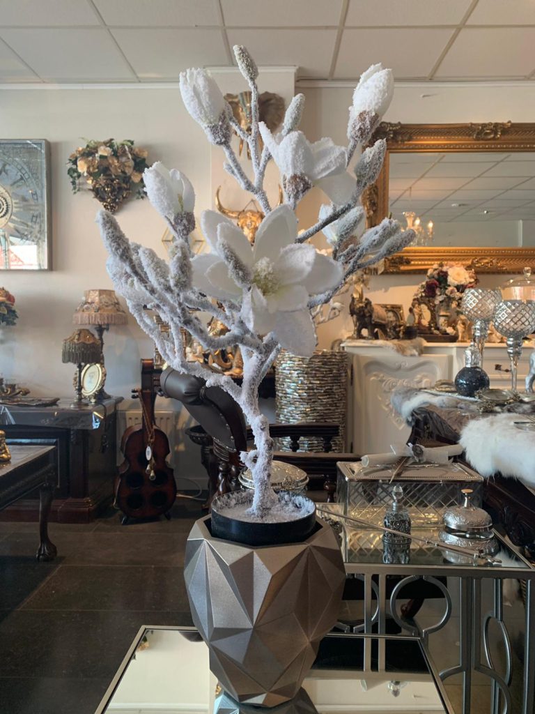 Download Eric Kuster Stijl Vaasje Champagne Met Magnolia Frozen Look Free Wallpaper Eric Kuster Stijl Vaasje Champagne Met Magnolia Frozen Look For iPhone Free